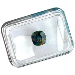 1.29ct IGI Certified Bi Colour Sapphire Blue Green Yellow Australian Untreated