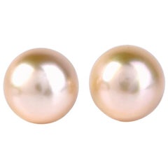 Golden South Sea Pearl Stud Earrings