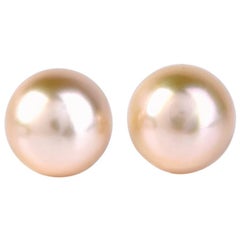 Golden South Sea Pearl Stud Earrings 6