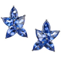 Tanzanite Cluster Earrings in 18 Karat White Gold Tanzanite Cluster Earrings in 18 Karat White Gold