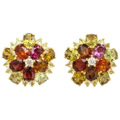 Flower Garnet, Chrysoberyl and Diamond Earrings 12