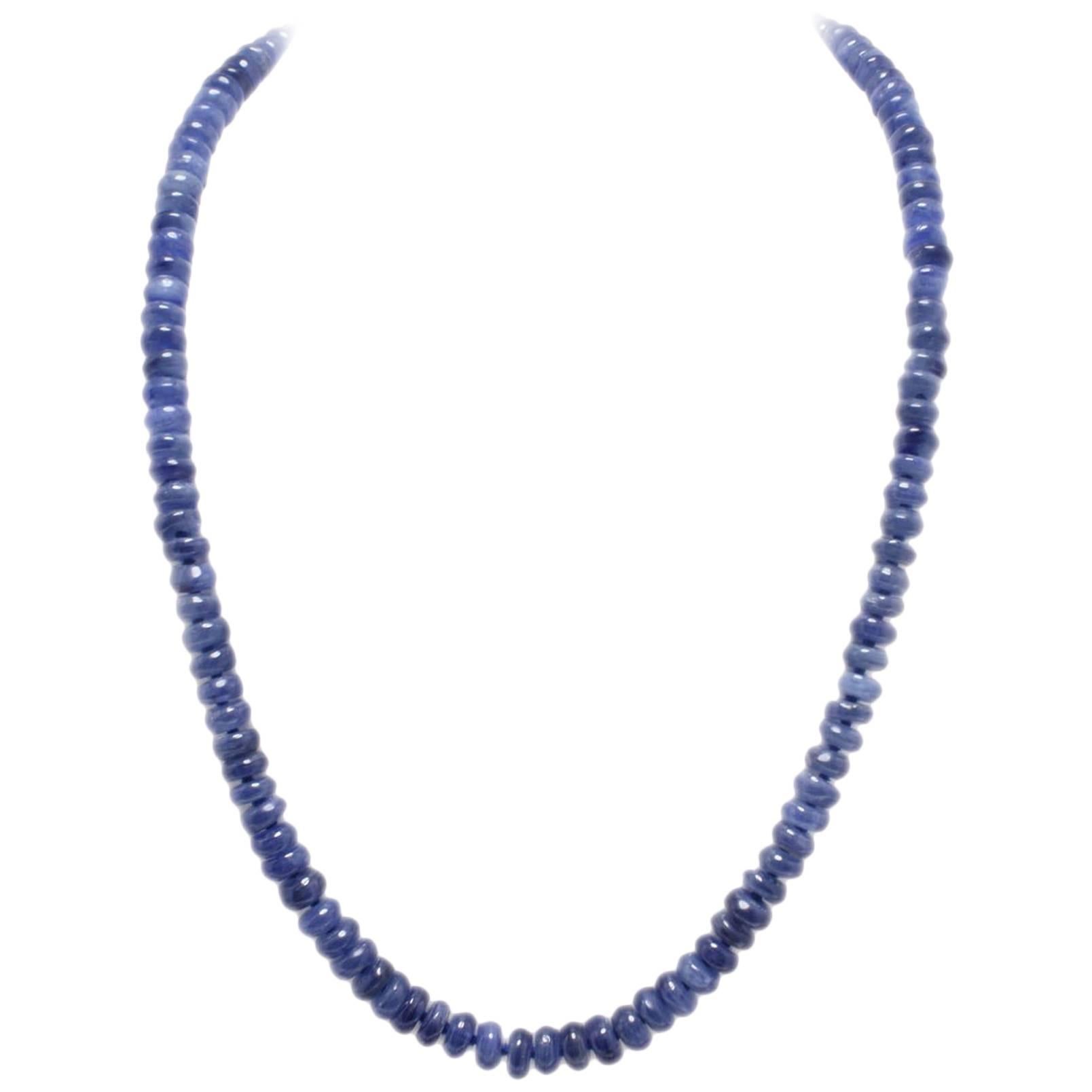 69.90 g Kyanite and Hook Silver Closure Beaded Necklace