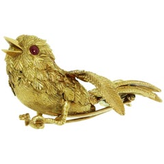 Van Cleef & Arpels Bird of Paradise Ruby Yellow Gold 1950s Brooch
