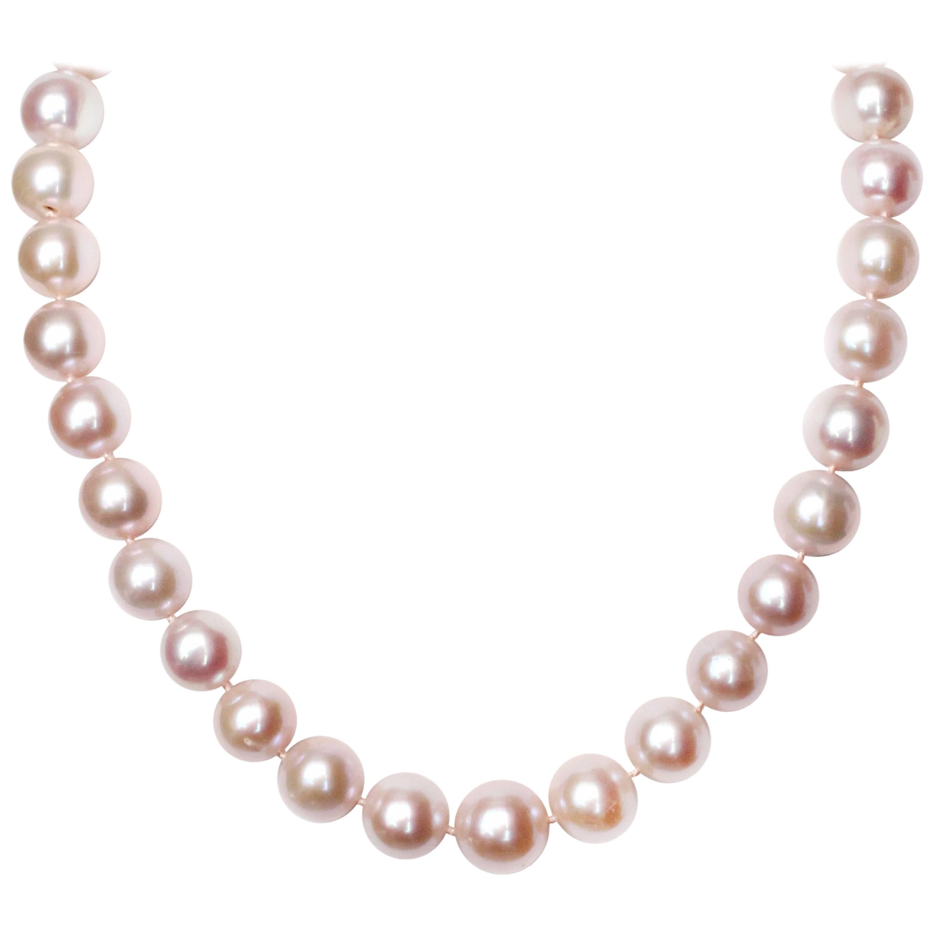 Julius Cohen Pink Fresh Water Pearl Necklace