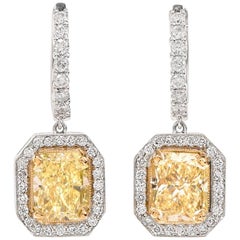 L 7.77 Carat Natura Yellow Diamond Gold Dangle Earrings