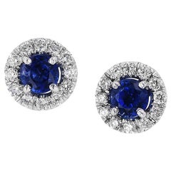 H 
H 0.67 Carat Blue Sapphire Stud Earrings