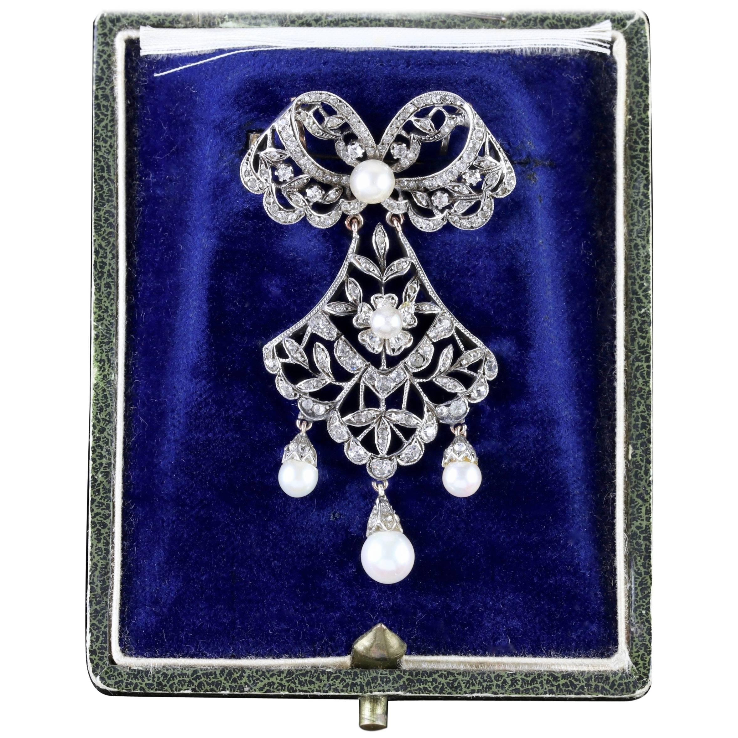 Antique French Victorian Boxed Belle Epoque Brooch, circa 1900 For Sale