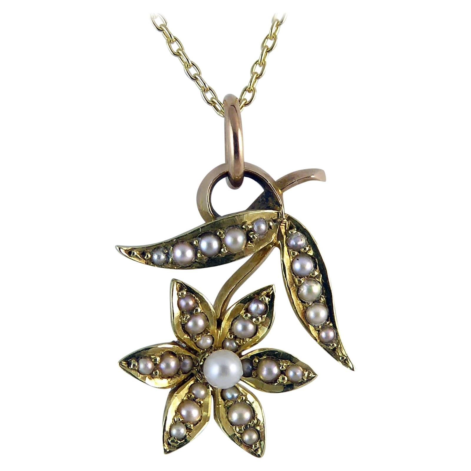 Victorian 15 Carat Pearl Flower Pendant, circa 1900 on 9 Carat Gold Chain