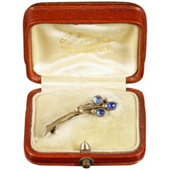 Antique Victorian Boxed Sapphire Halleys Comet Brooch Sapphire Diamond