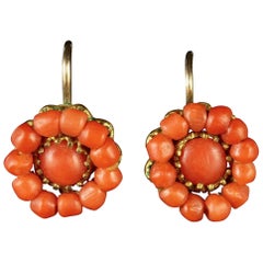 Antique Victorian Coral Earrings 18 Carat Gold, circa 1880