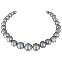 Retro Tahitian Pearl Strand, 10.54-14.36 Millimeters, Gray Color, Very High Quality