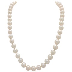 Ladies 14 Karat Yellow Gold Beaded Cultured Pearl Necklace