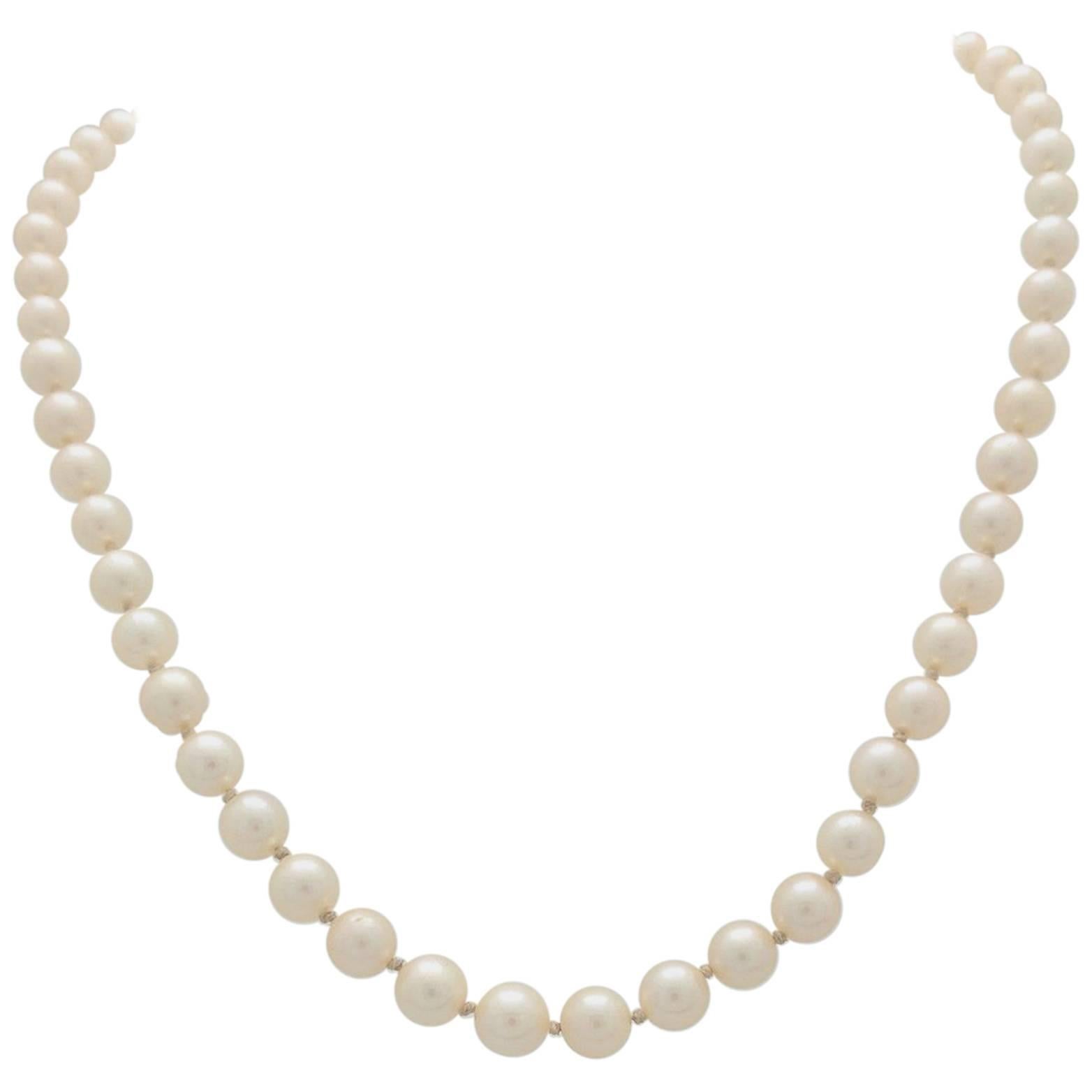 14 Karat White Gold Graduating Cultured Pearl Necklace