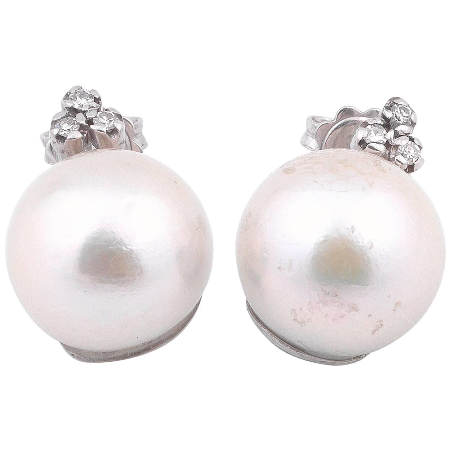 South Sea Pearl and Diamond Earrings