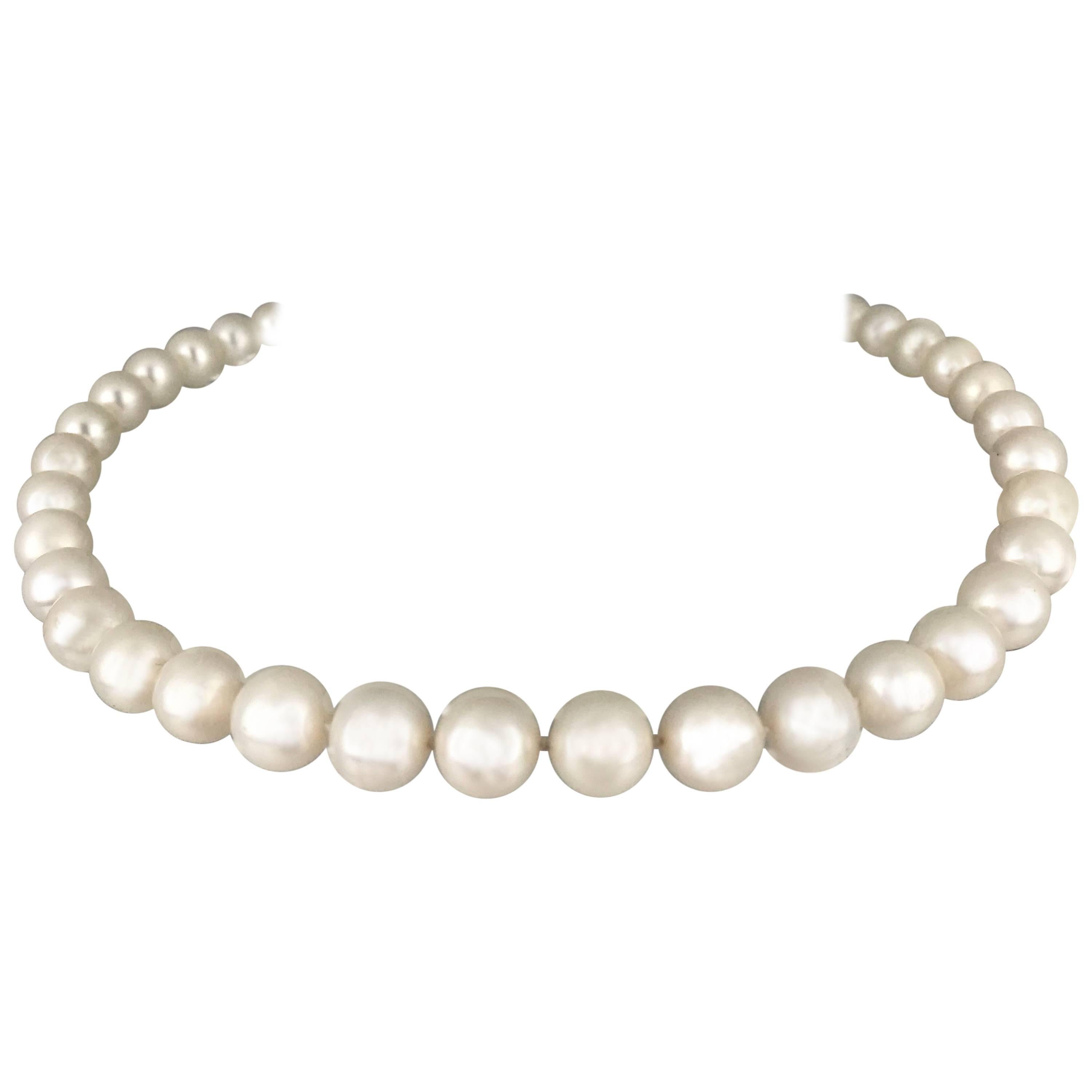 Freshwater Pearl Strand, Contemporary For Sale