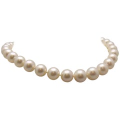 Strand South Sea Cultured Pearls with 18 Karat White Gold and Diamond Pavé Clasp