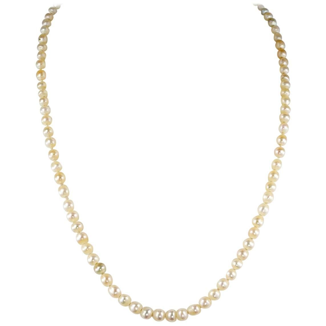 Edwardian Natural Basra Pearl Single Strand Necklace For Sale