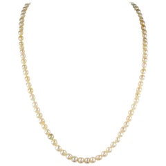 Antique Edwardian Natural Basra Pearl Single Strand Necklace