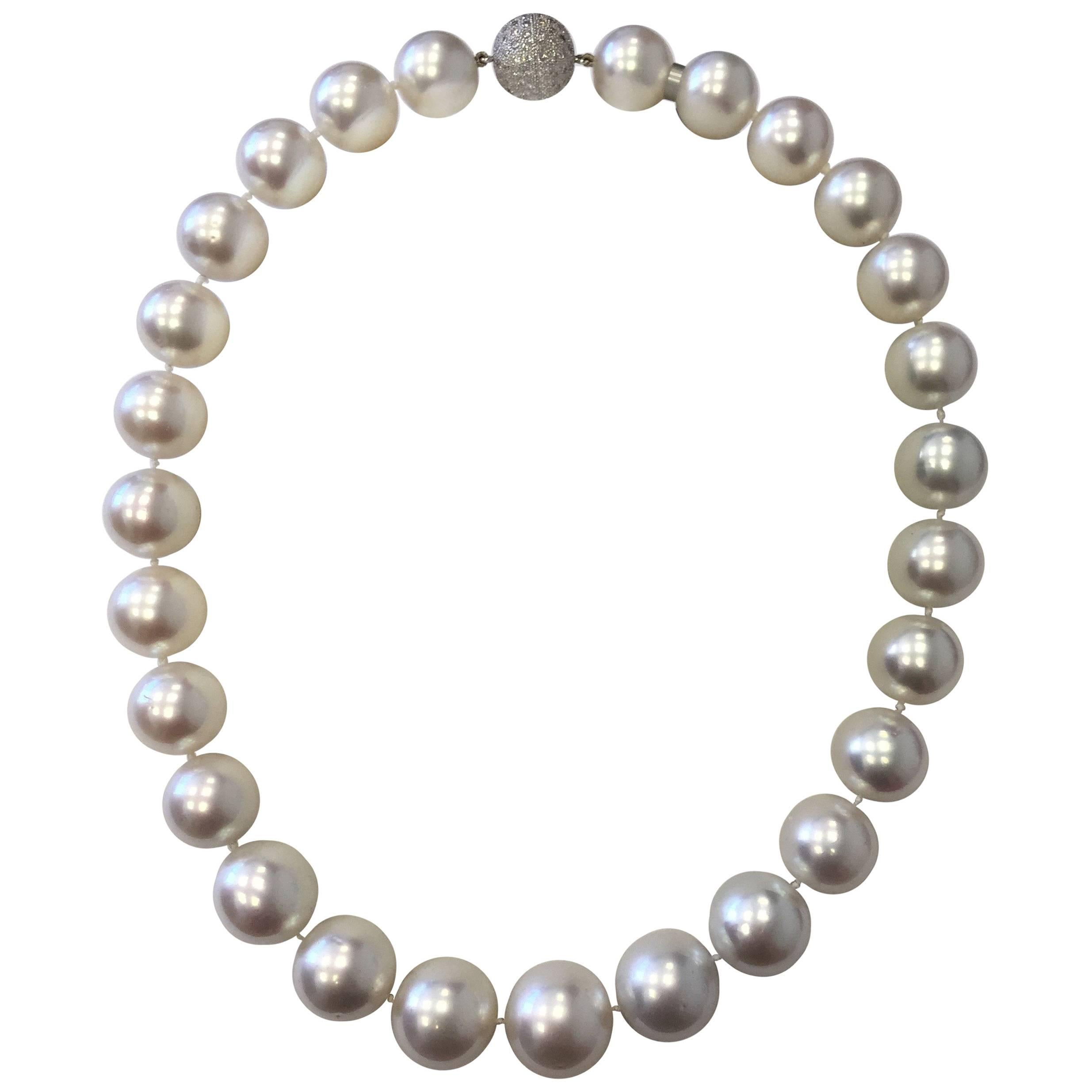 White South Sea Pearl Necklace with 