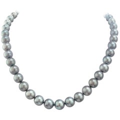 Delicately Colored South Sea Pearl Necklace with Gold Catch