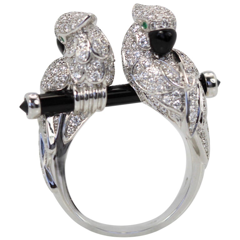 Id Rings For Parrots Id Rings For Parrots