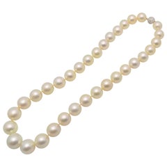 Strand South Sea Cultured Pearls with Diamond Ball Clasp