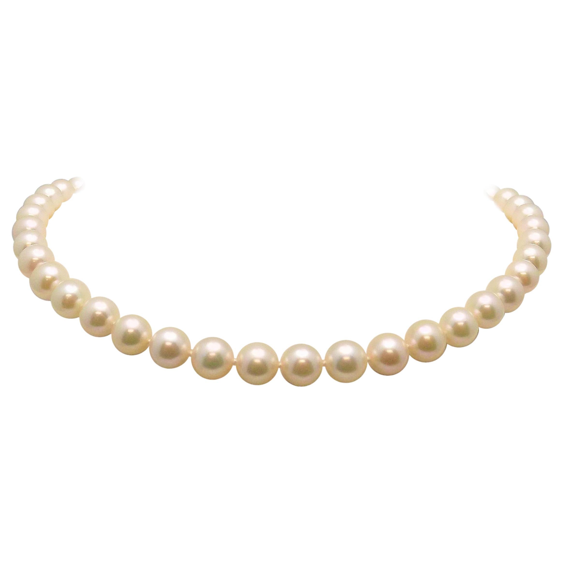 Strand of 45 Cream Rose Cultured Pearls For Sale