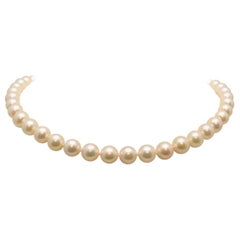 Strand of 45 Cream Rose Cultured Pearls