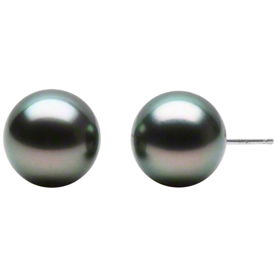 AAA Quality Round High Luster Tahitian Pearl Earring Stud on 14 Karat White Gold For Sale