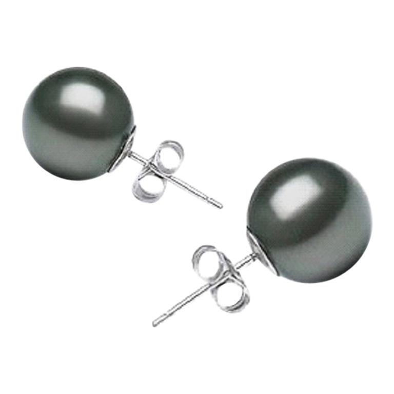 AAA Quality Round High Luster Tahitian Pearl Earring Stud on 14 Karat White Gold
