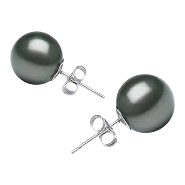 Aaa Quality Round High Er Tahitian Pearl Earring Stud On 14 Aaa Quality Round High Er Tahitian Pearl Earring Stud On 14 Karat White Gold For