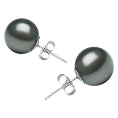 AAA Quality Round High Luster Tahitian Pearl Earring Stud on 14 Karat White Gold