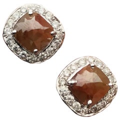 Brown Diamond 18 Karat White Gold Stud Earrings