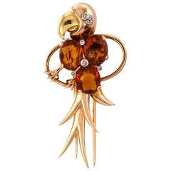 Retro Citrine Gold Parrot Brooch 12