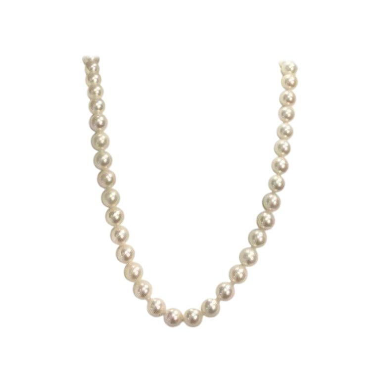 Original Tiffany & Co. South Sea Pearl Necklace Strand Gold Clasp