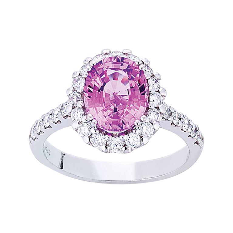 18 Carat White Gold Oval Pink Sapphire and Brilliant Cut Diamond Cluster Ring