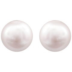 Roman Malakov 6.50 Millimeter White Pearl Stud Earrings in White Gold