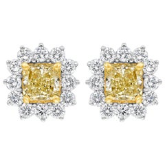 Roman Malakov, Radiant Cut Yellow Diamond Halo Stud Earrings