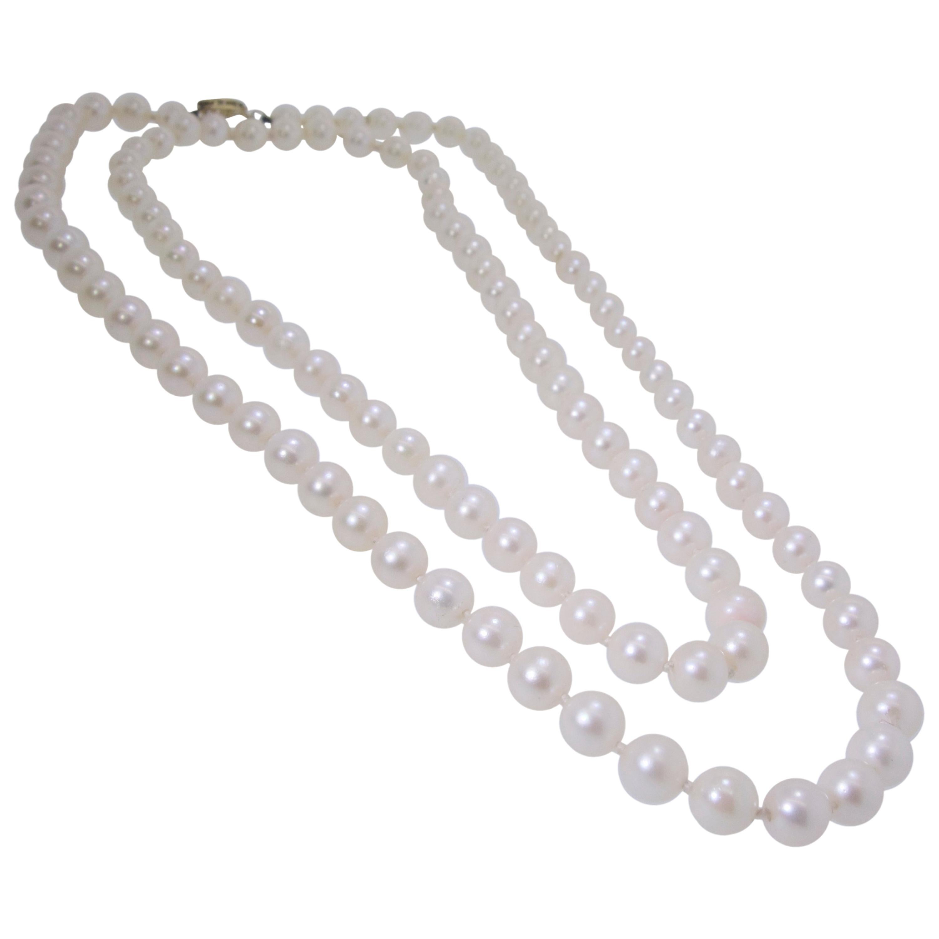 Double Strand of Fine Cultured Akoya Pearls