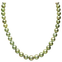 Yoko London Pistachio-Colored Tahitian Pearl Classic Necklace in 18 Karat Gold