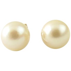 14 Karat Yellow Gold Pearl Stud Earrings
