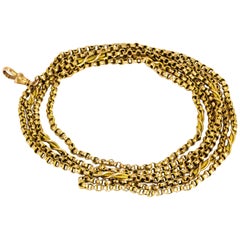 Edwardian 9 Carat Gold Long Guard Chain