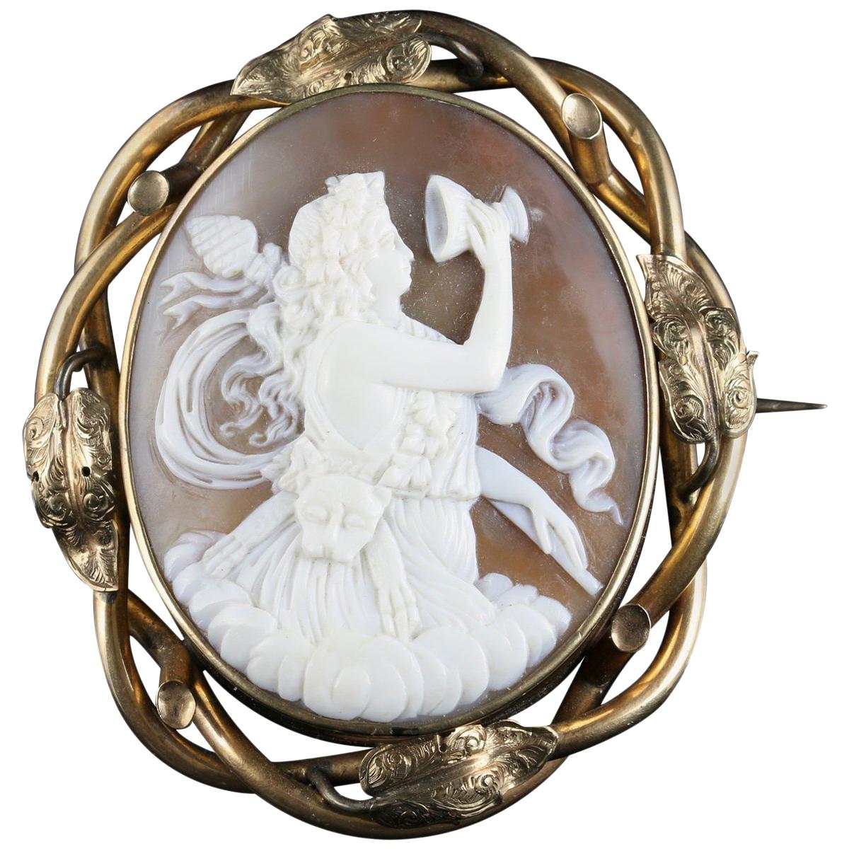 Victorian Bull Mouth Shell Cameo Brooch For Sale