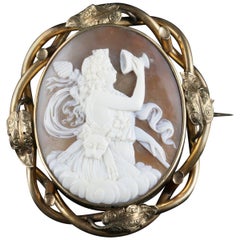 Victorian Bull Mouth Shell Cameo Brooch