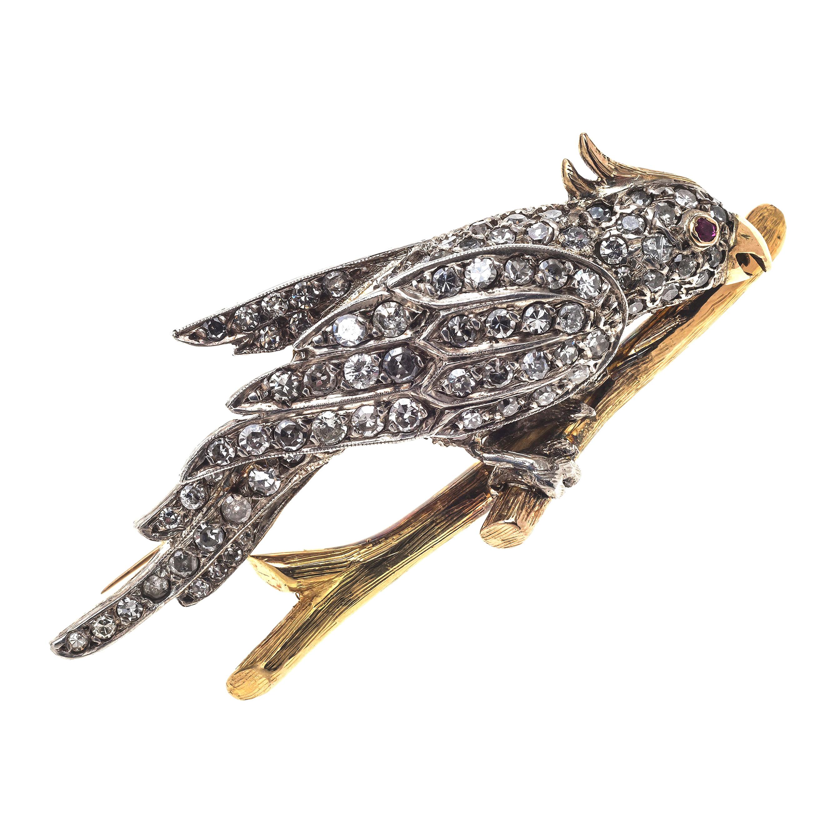 Broche vintage rétro en or et platine avec oiseau cockatoo, rubis et diamants, années 1930
