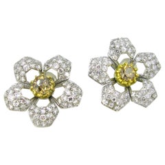 Champagne Diamonds Flowers Yellow White Gold Fashion Studs Earrings