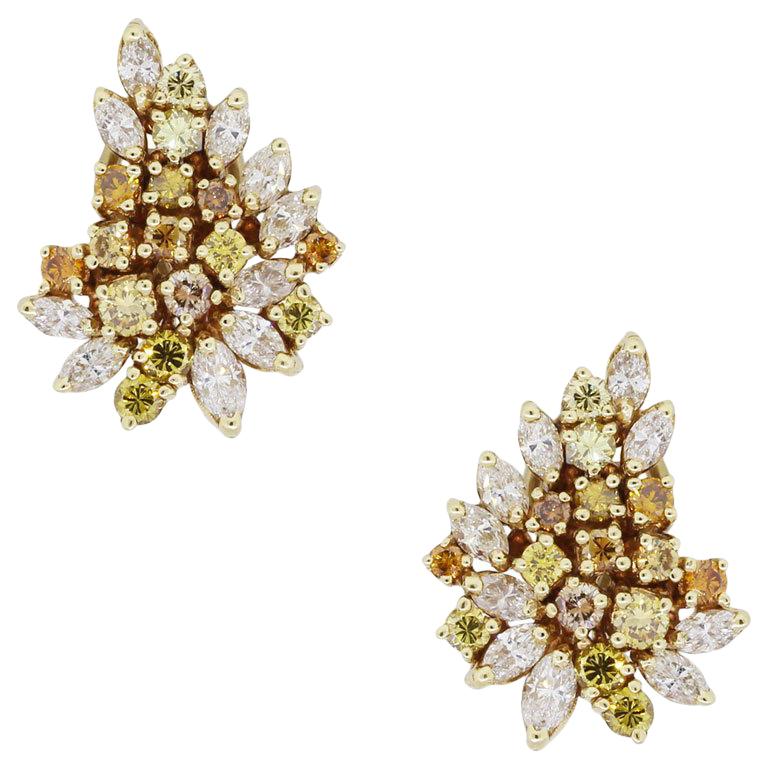 Multi Fancy Color Diamond Cluster Earrings