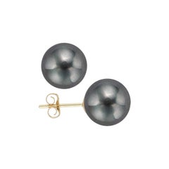 AAA Quality Black Freshwater Cultured Pearl Earring Stud on 14 Karat Yellow Gold