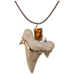 Citrine Natural Zircon Gold Fossilized Shark's Tooth Pendant 