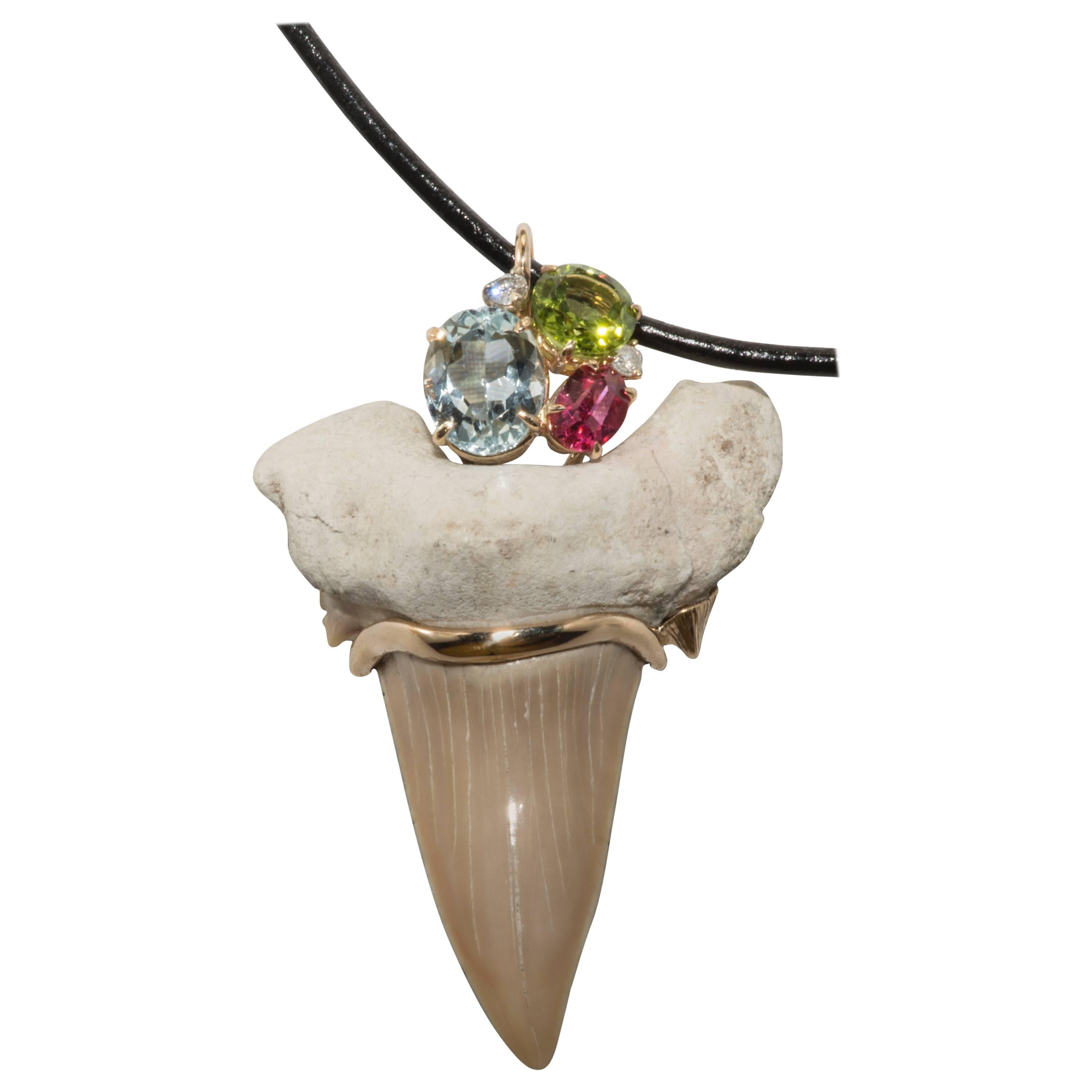 Aquamarine Peridot Pink Spinel Diamond Gold Fossilized Shark's Tooth Pendant  For Sale